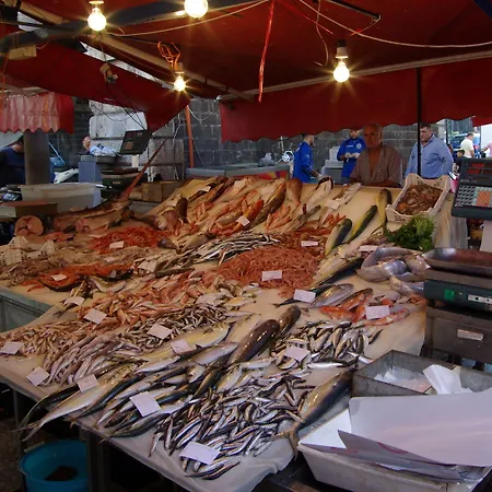 Couette-café Liberty 900 Catane